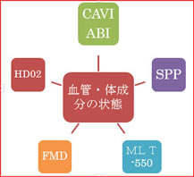 生理機能検査概念図